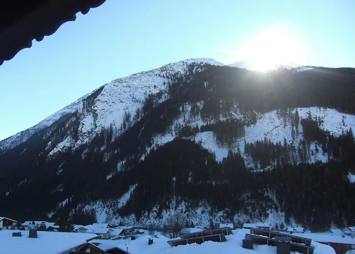 Haus Dristner アパート